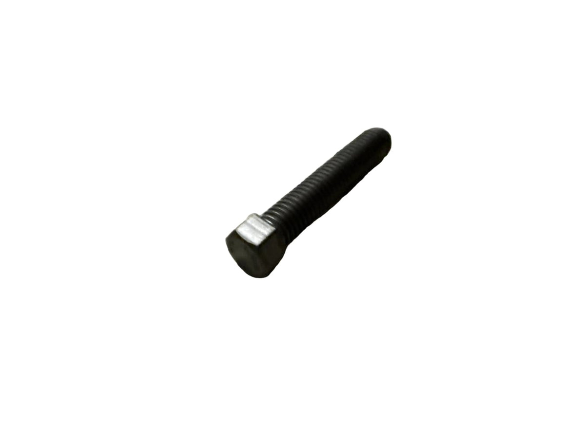 HH screw M8X40 WS=10 50203030090