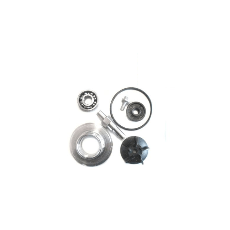 Water Pump Repair Kit for KTM 125/150/200 & Husqvarna 125 2010-2016 - 54835055115