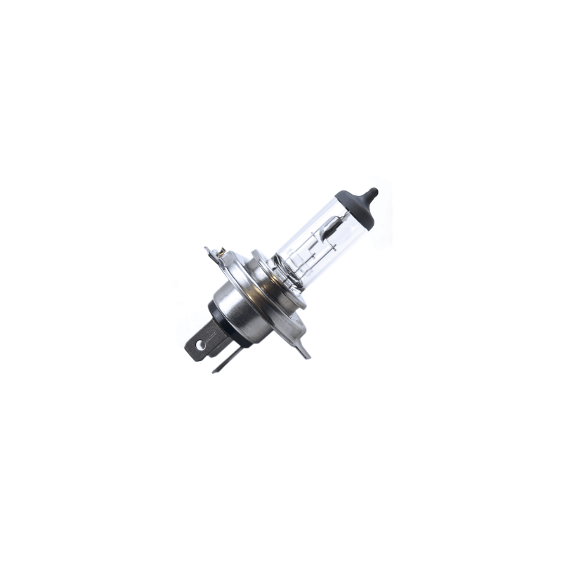 BULB HS1 12V 35/35W WHITE 54611038012